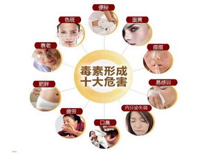 华以果蔬酵素复合粉 保健食品oem代加工 厂家招商